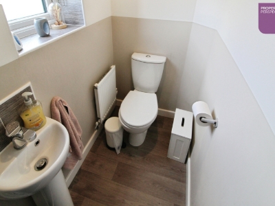 Picture 4